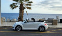 Volkswagen Beetle Cabrio